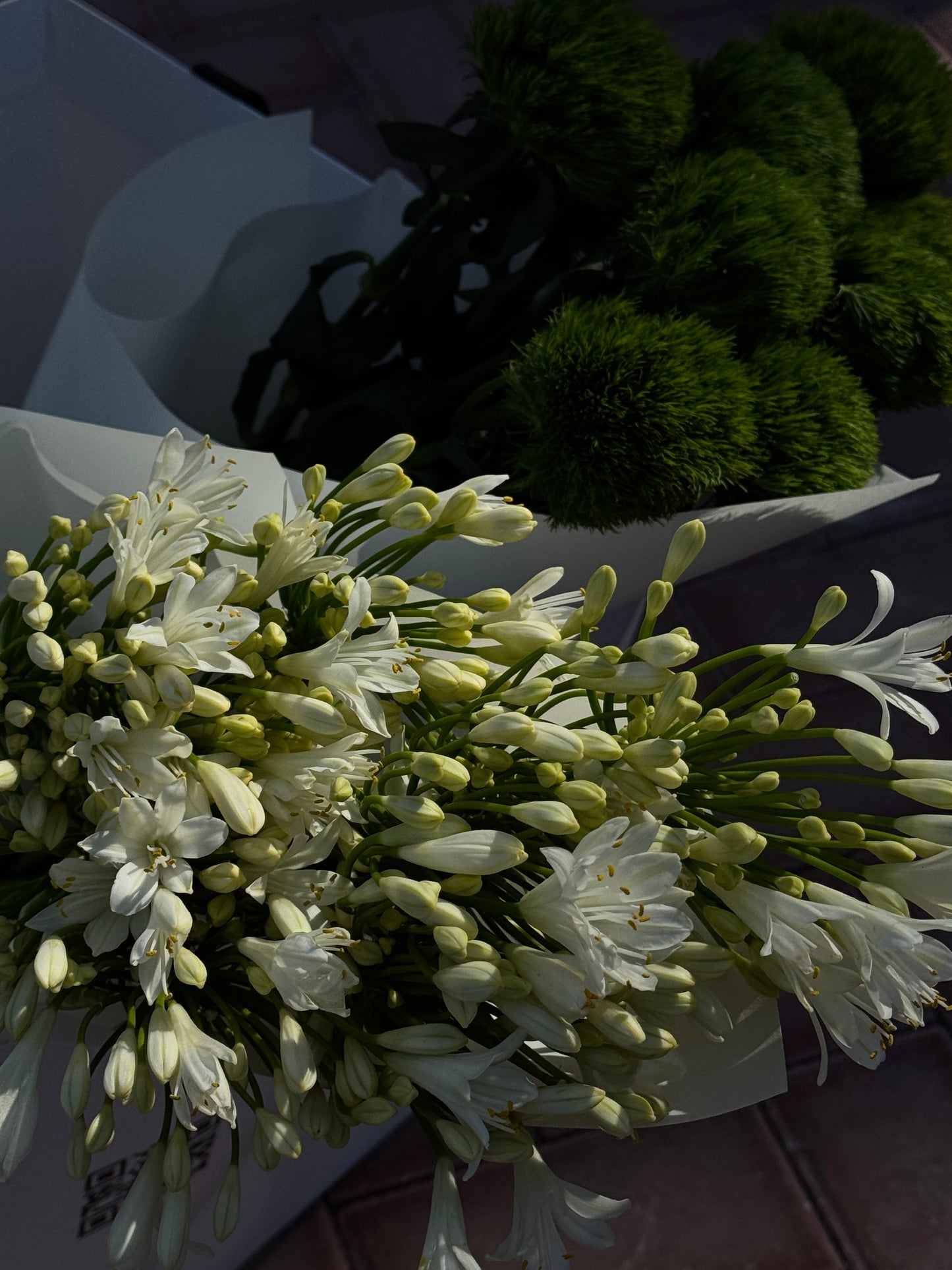 YOURE A FLORIST /SET #3