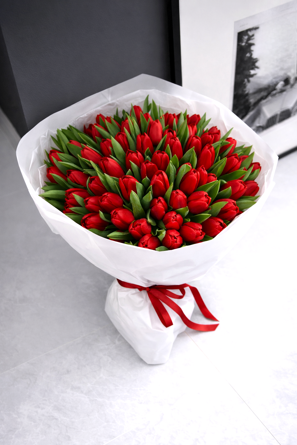101 RED TULIP