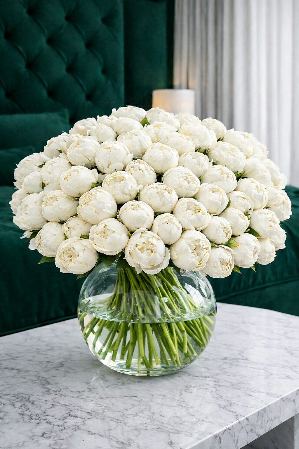 101 IVORY WHITE PEONIES
