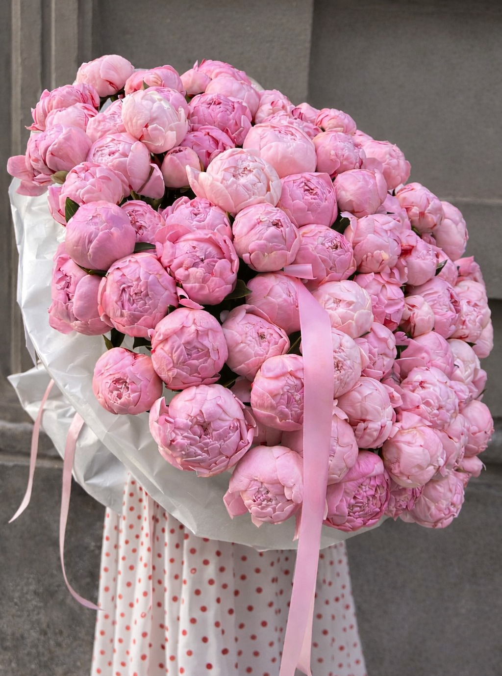 101 BLUSH PINK PEONIES