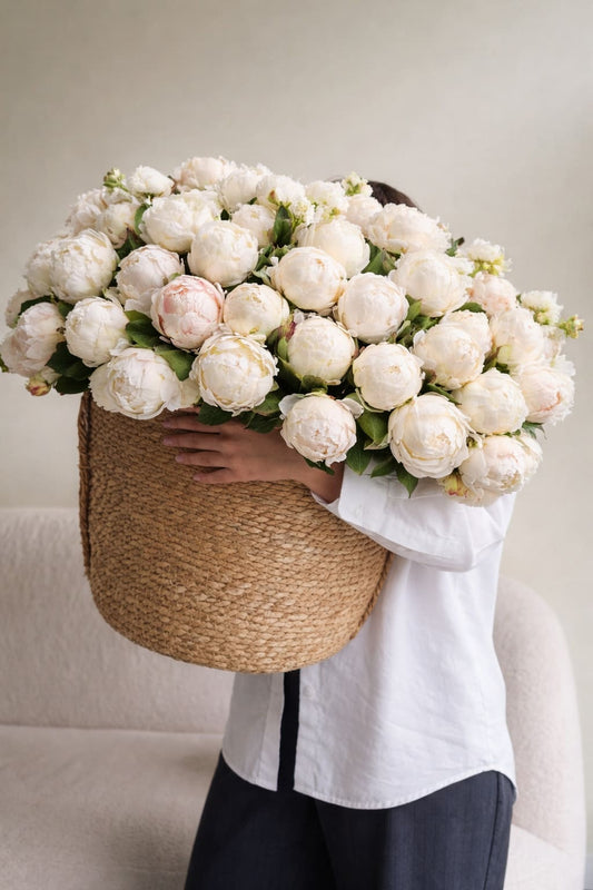 202 IVORY WHITE PEONIES