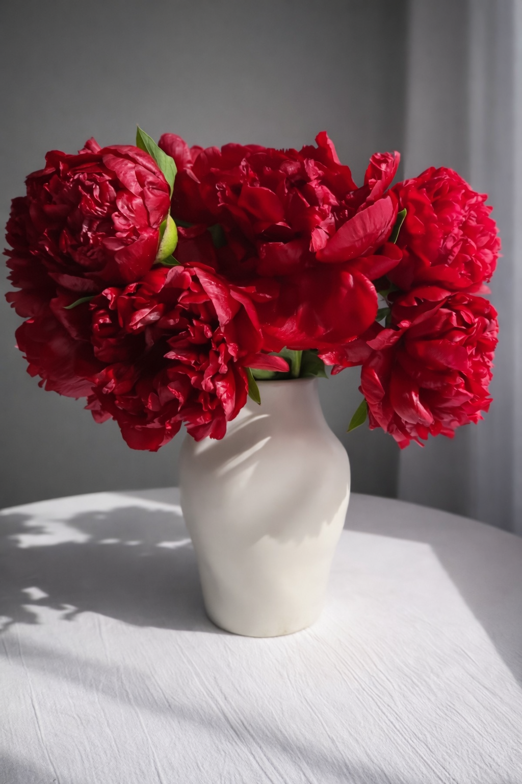 202 ROUGE RED PEONIES