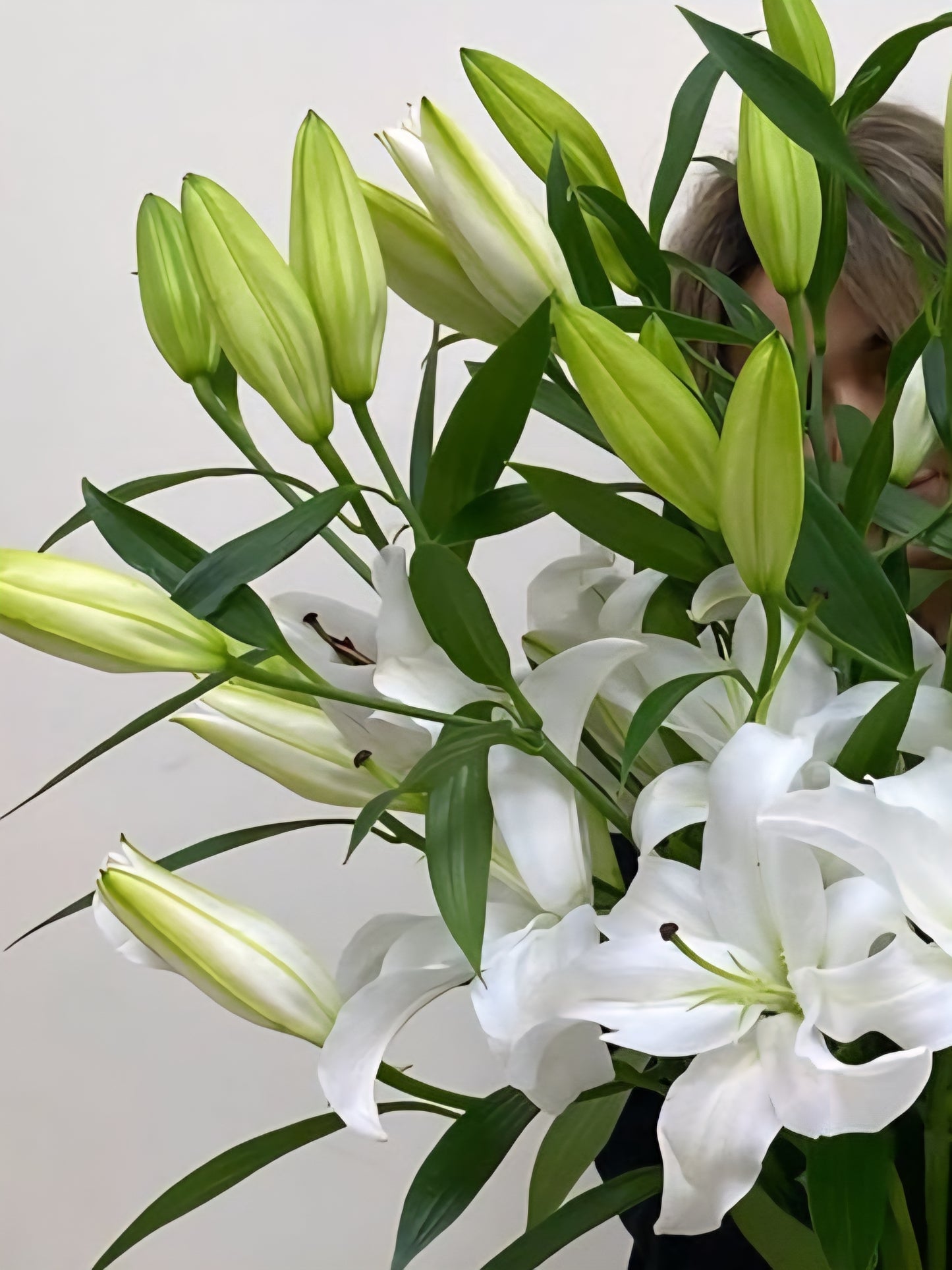 LILIUM ORIENTAL - WHITE 80 CM