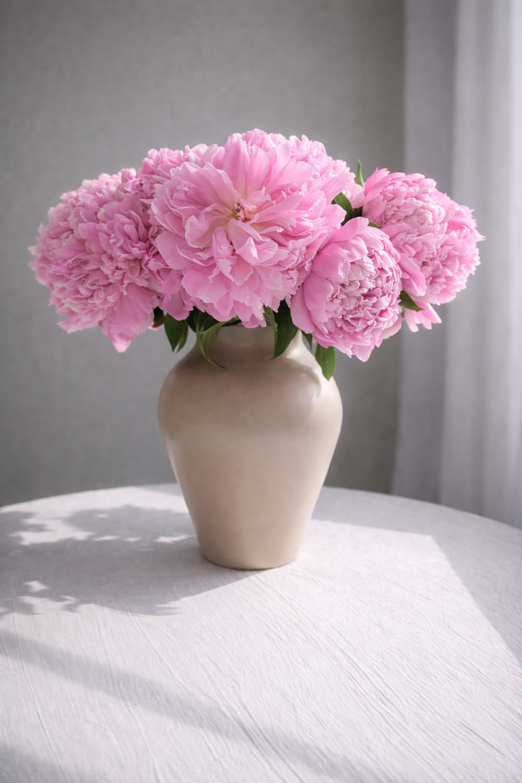 202 BLUSH PINK  PEONIES